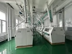 100 tpd top design wheat grinding flour milling plant
